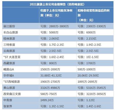 2021年旅游出行“预亏王”深度解读 挑战与转型之路