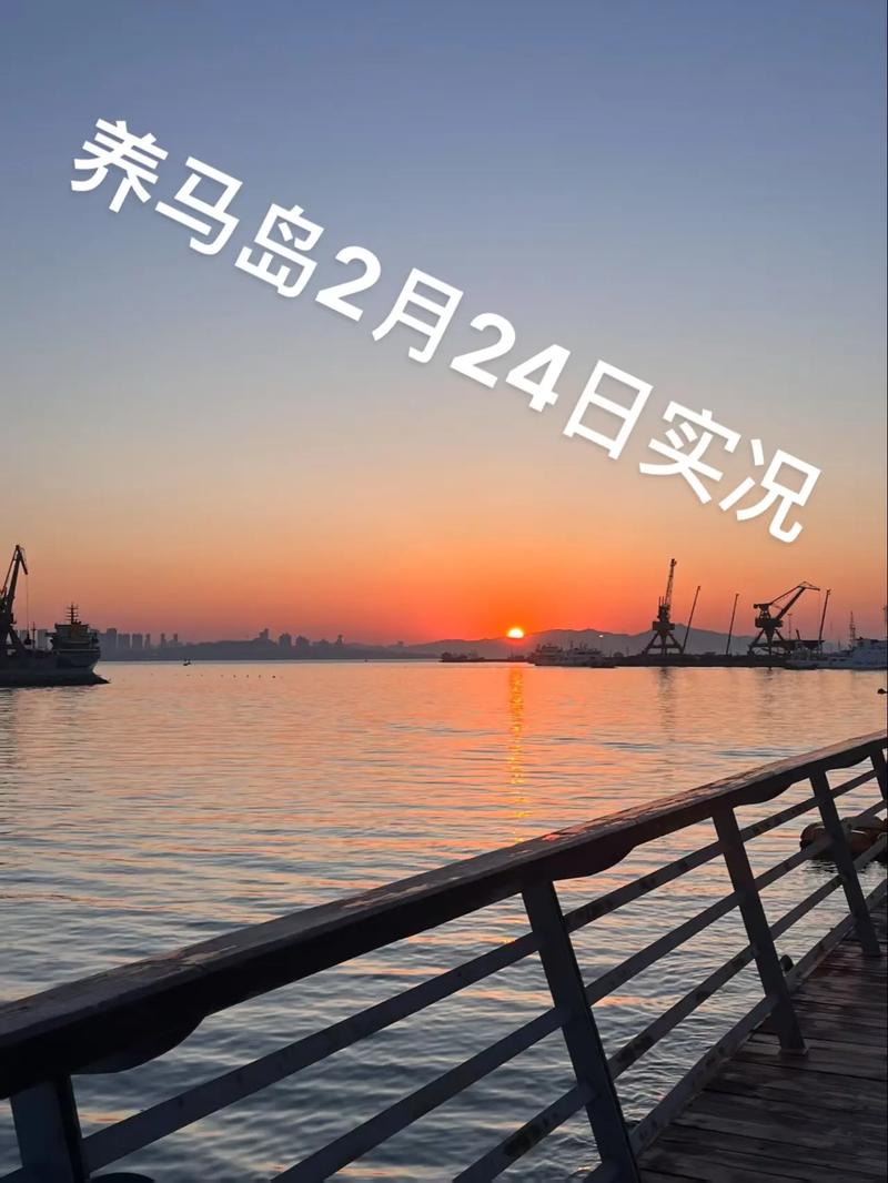 养马岛2月24日旅游攻略(实况)重要通知:本店租车,民宿业务